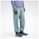 Reebok Ανδρικό παντελόνι φόρμας Classic Fleece Sweatpants